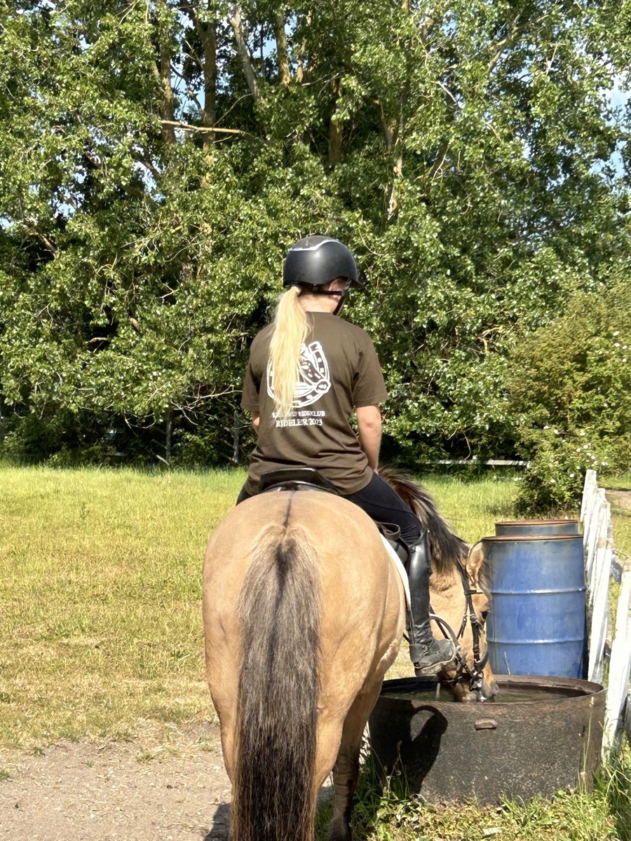 Rytter i klubbens T-shirt på hest ved vandtruget